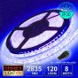 12V/5M SMD 2835 IP20 Non-Waterproof 8mm LED Strip 600 LED (120LED/M) - BLUE
