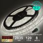 12V/5M SMD 2835 IP20 Non-Waterproof 8mm LED Strip 600 LED (120LED/M) - COOL WHITE