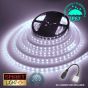 24V/5M SMD 5050 IP67 Sealed Waterproof Strip 300 LED - COOL WHITE