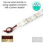 12V/5M SMD 2835 IP20 Non-Waterproof Double Row 16mm Strip 1200 LED (240LED/M) - RED