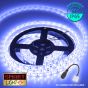 12V/5M SMD 5050 IP65 Waterproof Strip 300 LED - BLUE