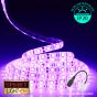 12V/1M SMD 5050 IP20 Non-Waterproof Strip 60 LED - PINK