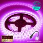 12V/1M SMD 5050 IP65 Waterproof Strip 60 LED - PINK