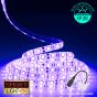 12V/5M SMD 5050 IP20 Non-Waterproof Strip 300 LED - PURPLE