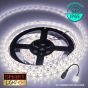 12V/5M SMD 5050 IP65 Waterproof Strip 300 LED - WARM WHITE