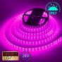 24V/20m SMD 5050 IP67 Waterproof Strip 1200 LED - PINK