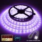 24V/10m SMD 5050 IP20 Non-Waterproof Strip 600 LED - PURPLE