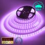 24V/20m SMD 5050 IP67 Waterproof Strip 1200 LED - PURPLE