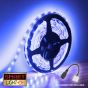 12V/10m SMD 2835 IP20 Non-Waterproof Strip 600 LED - BLUE