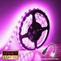 12V/10m SMD 2835 IP20 Non-Waterproof Strip 600 LED - PINK