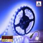 12V/5M SMD 2835 IP65 Waterproof Strip 300 LED - BLUE