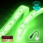 12V/5m SMD 2835 IP68 Submersible Strip 300 LED - GREEN