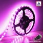 12V/5M SMD 2835 IP65 Waterproof Strip 300 LED - PINK