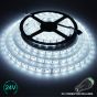 24V/5m SMD 5050 IP20 Non-Waterproof Strip 300 LED - COOL WHITE