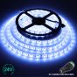 24V/10m SMD 5050 IP20 Non-Waterproof Strip 600 LED - BLUE