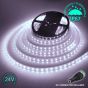 24V/20m SMD 5050 IP67 Waterproof Strip 1200 LED - COOL WHITE