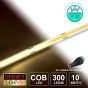 12V Warm White Economy COB LED Strip (300 LED/m)