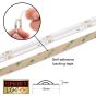 24V Premium RGB COB LED Strip (820 LED / 14.4w / 16-2200mcd per meter)