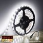 12V/10m SMD 2835 IP65 Waterproof Strip 600 LED - COOL WHITE