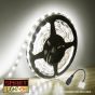 12V/5M SMD 2835 IP20 Non-Waterproof Strip 300 LED - WARM WHITE