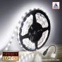 12V/5M SMD 2835 IP65 Waterproof Strip 300 LED - COOL WHITE