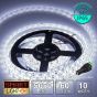 12V/5M SMD 5050 IP65 Waterproof Strip 300 LED - COOL WHITE