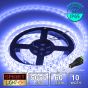 12V/5M SMD 5050 IP65 Waterproof Strip 300 LED - BLUE