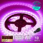 12V/5M SMD 5050 IP65 Waterproof Strip 300 LED - PURPLE