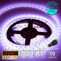 12V/5M SMD 5050 IP65 Waterproof Strip 300 LED - PURPLE