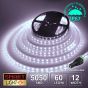 60 LED/M 12V SMD 5050 COOL WHITE LED Strip IP67 (White PCB)