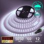 60 LED/M 24V SMD 5050 COOL WHITE LED Strip IP67 (White PCB)