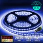 12V/5M SMD 2835 5MM IP20 Non-Waterproof Thin 5mm Strip 600 LED (120LED/M) - BLUE