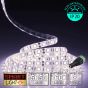 12V/10m SMD 5050 IP20 Non-Waterproof Strip 600 LED - WARM WHITE