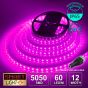 60 LED/M 24V SMD 5050 PINK/MAGENTA LED Strip IP67 (White PCB)