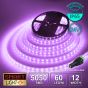 60 LED/M 24V SMD 5050 UV PURPLE LED Strip IP67 (White PCB)
