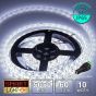 60 LED/M 12V SMD 5050 COOL WHITE LED Strip IP65 (White PCB)