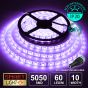 24V/1M SMD 5050 IP20 Non-Waterproof Strip 60 LED - PURPLE