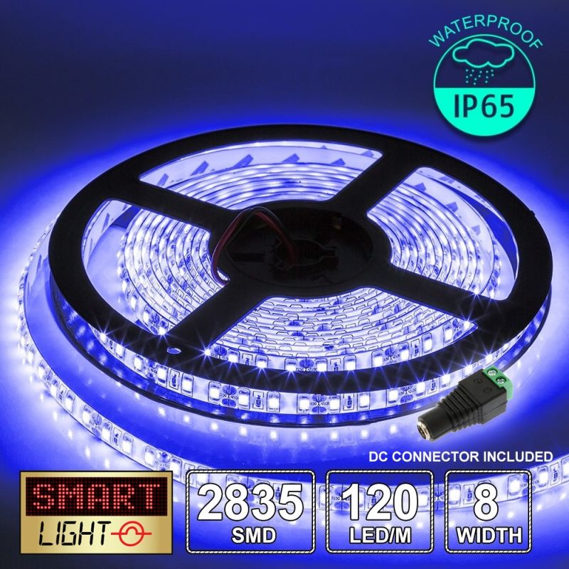 12V/5M SMD 2835 IP65 Waterproof 8mm LED Strip 600 LED (120LED/M) - BLUE