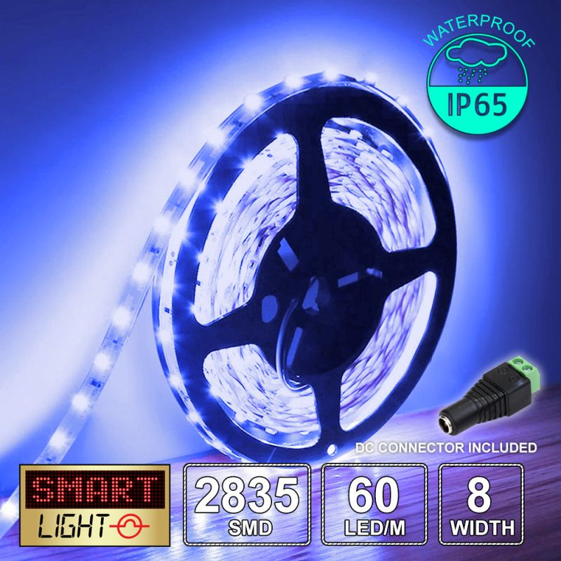 12V/5M SMD 2835 IP65 Waterproof Strip 300 LED - BLUE