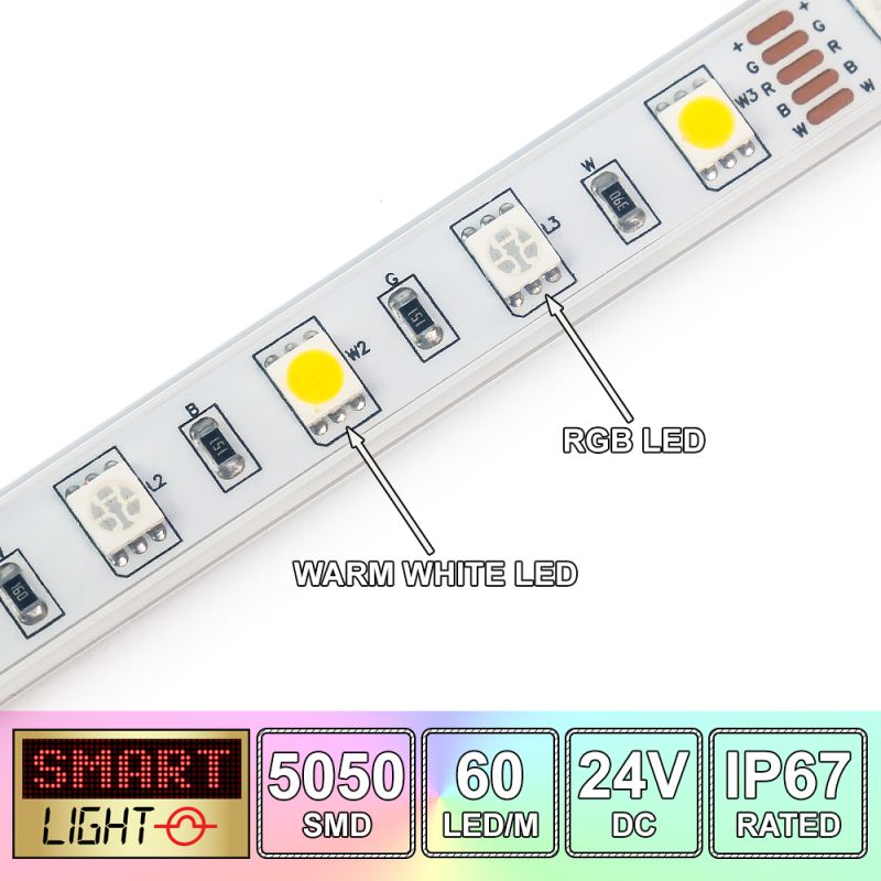 60 LED/M 24V SMD 5050 RGB + WARM WHITE LED Strip IP67 (White PCB)