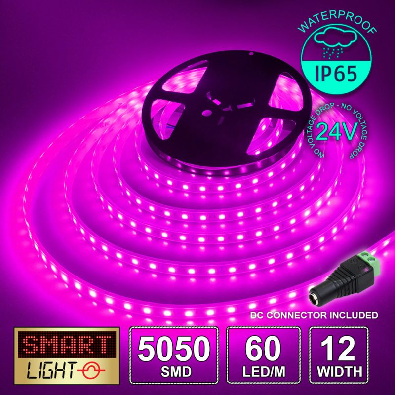 60 LED/M 24V SMD 5050 PINK/MAGENTA LED Strip IP67 (White PCB)