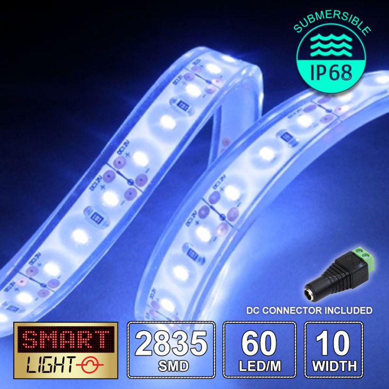 12V/1m SMD 2835 IP68 Submersible Strip 60 LED - BLUE