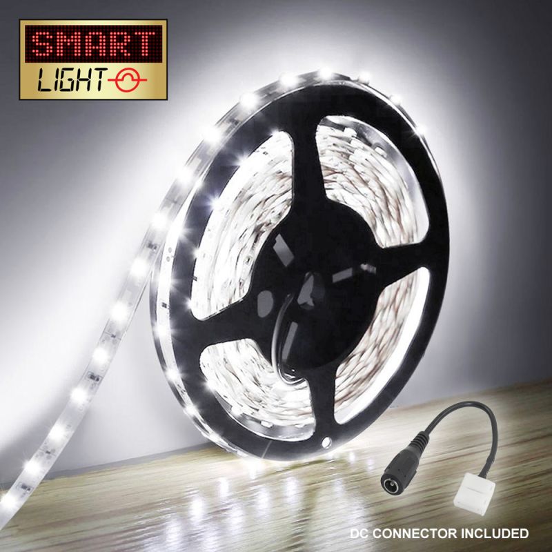 White IP65 LED Light 5M / 300 LED