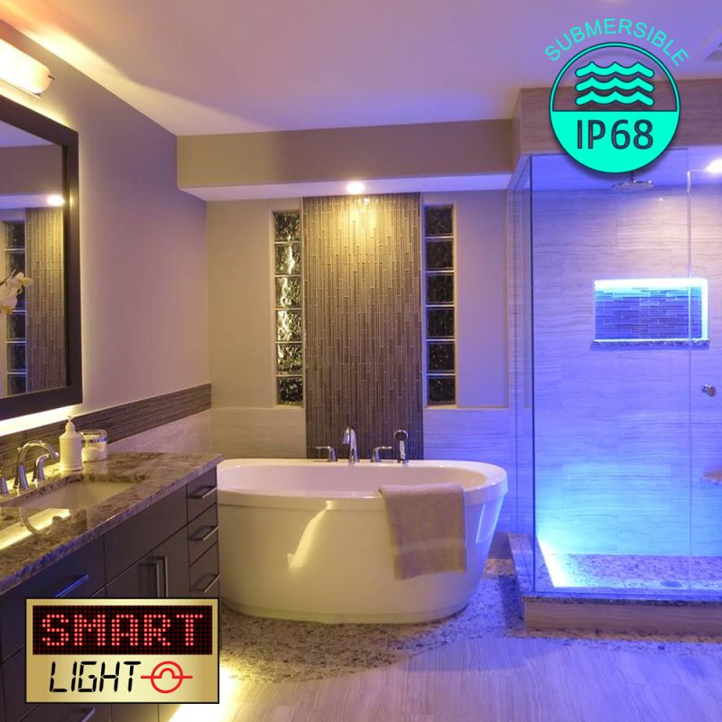 1M/60 LED Flexible Self Adhesive 12V Strip - IP68