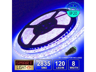 12V/5M SMD 2835 IP20 Non-Waterproof 8mm LED Strip 600 LED (120LED/M) - BLUE