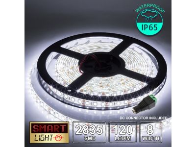 12V/5M SMD 2835 IP65 Waterproof 8mm LED Strip 600 LED (120LED/M) - COOL WHITE