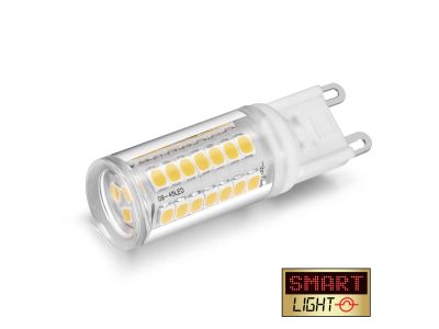 G9 Bulb