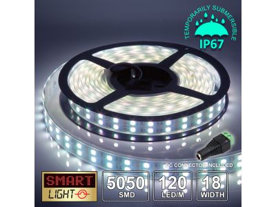 12V/5M SMD 5050 IP67 Sealed Waterproof Double Row 16mm Strip 600 LED (120LED/M) - COOL WHITE