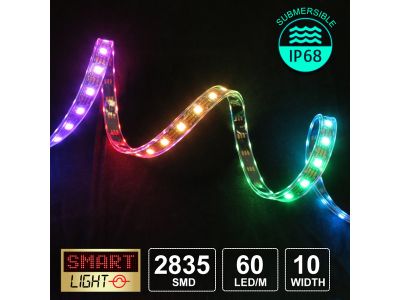 12V/1m SMD 2835 IP68 Submersible Strip 60 LED - RGB 