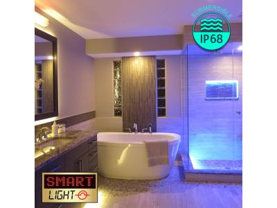 1M/60 LED Flexible Self Adhesive 12V Strip - IP68